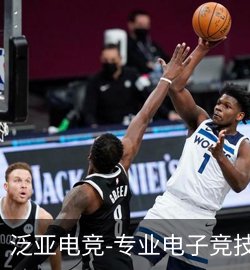 案例泛亚电竞